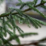 Glass Ornaments for an Alpine Christmas Tree