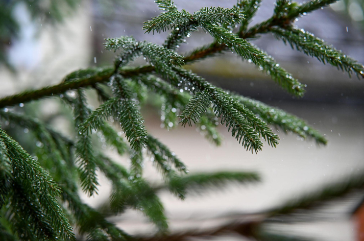 Glass Ornaments for an Alpine Christmas Tree