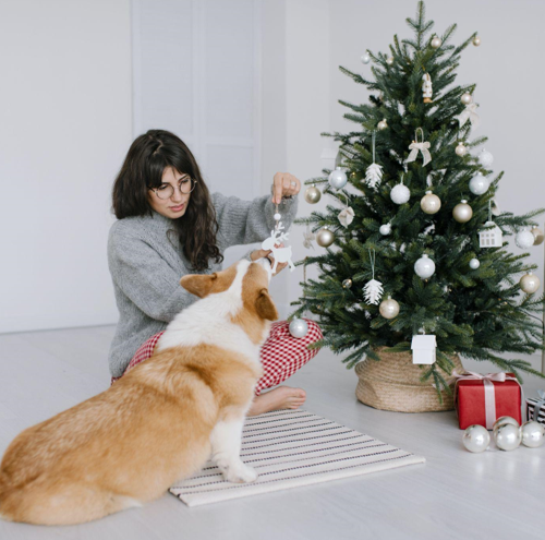 The Magic of Flocked Christmas Trees