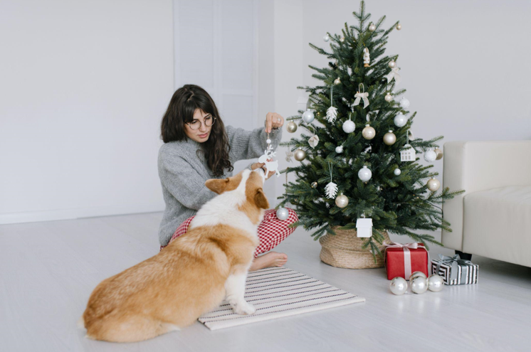 The Magic of Flocked Christmas Trees